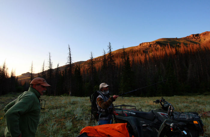 Grizzly Moth Site